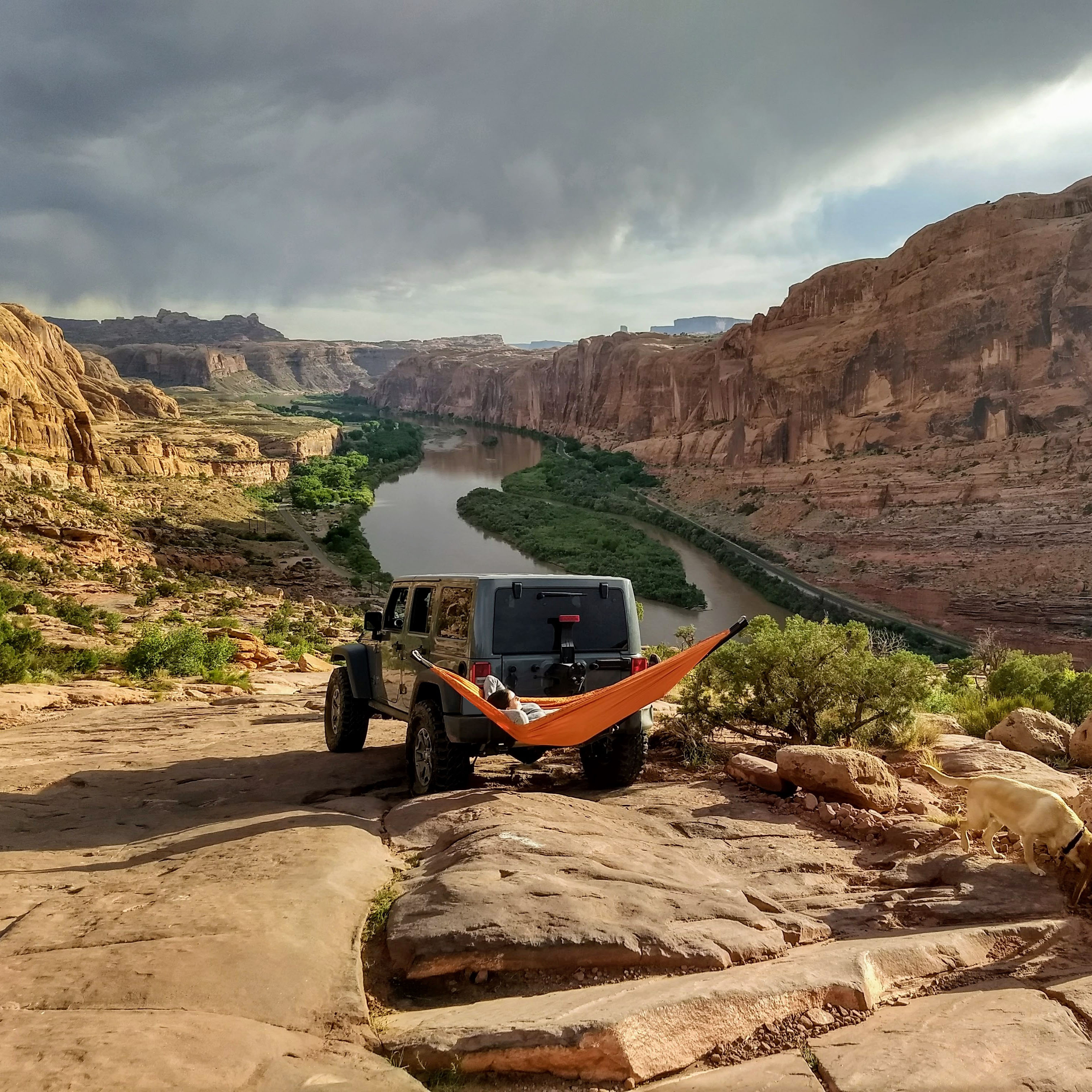 Hitch Hammock Carrier